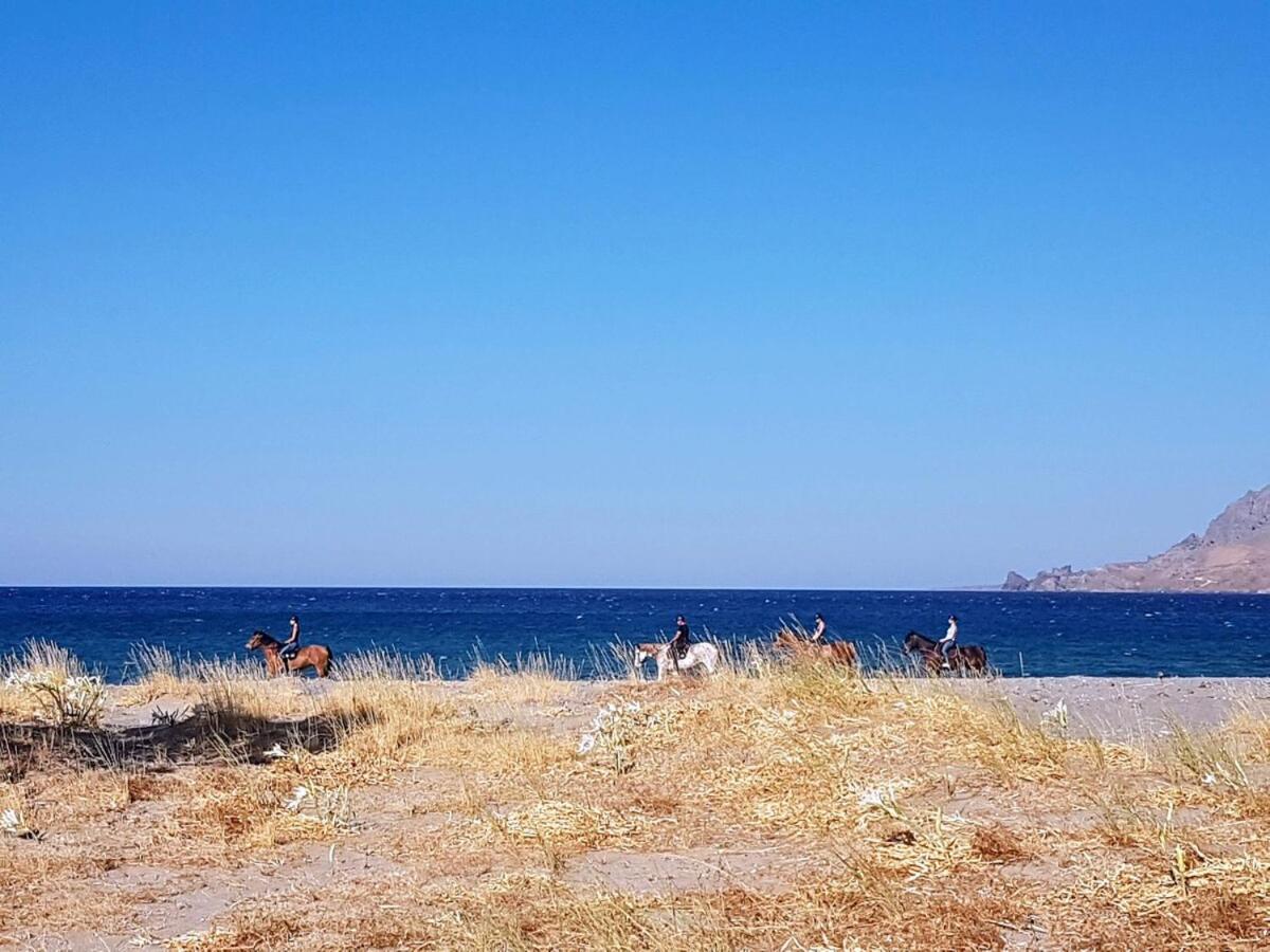 Annamaria Sea Side View Studio- 25M From The Beac プラキアス エクステリア 写真